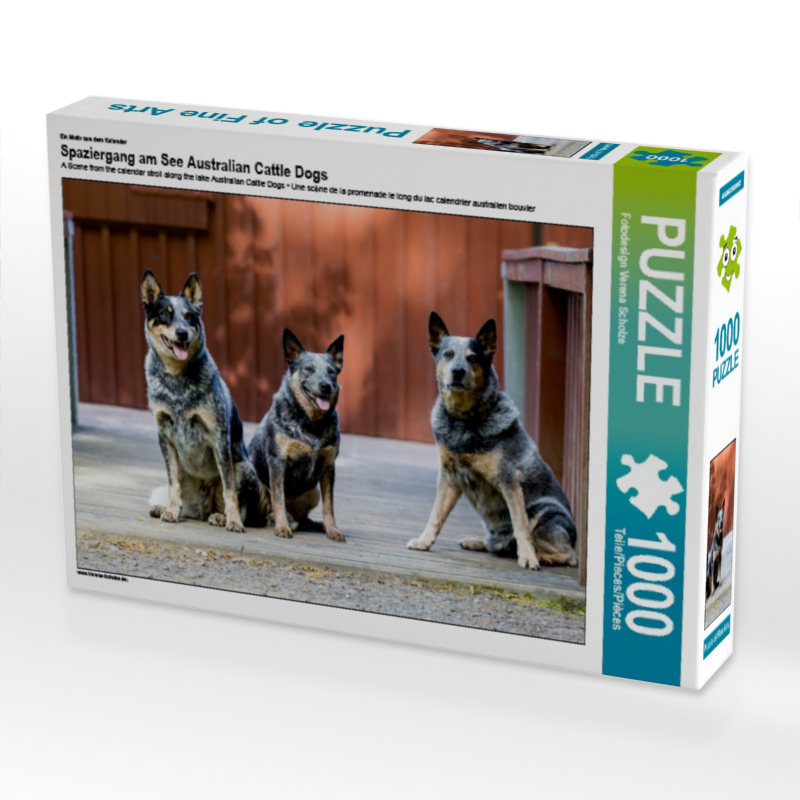 Ein Motiv aus dem Kalender Spaziergang am See Australian Cattle Dogs