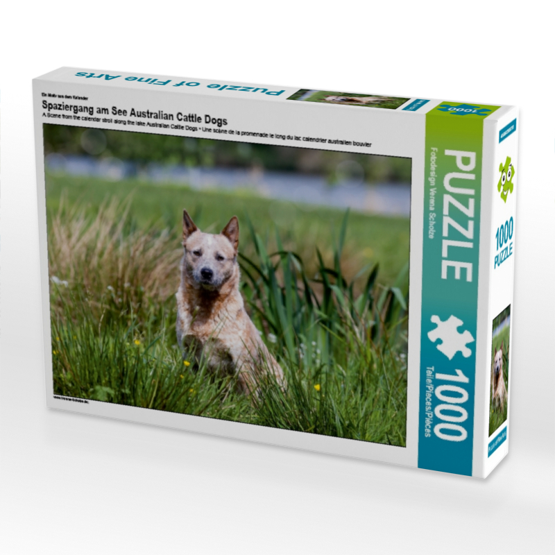 Ein Motiv aus dem Kalender Spaziergang am See Australian Cattle Dogs