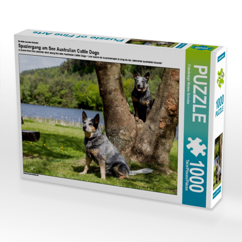 Ein Motiv aus dem Kalender Spaziergang am See Australian Cattle Dogs