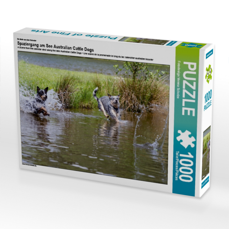 Ein Motiv aus dem Kalender Spaziergang am See Australian Cattle Dogs