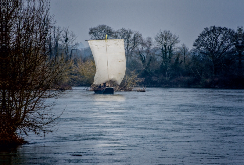 Barge an der Loire