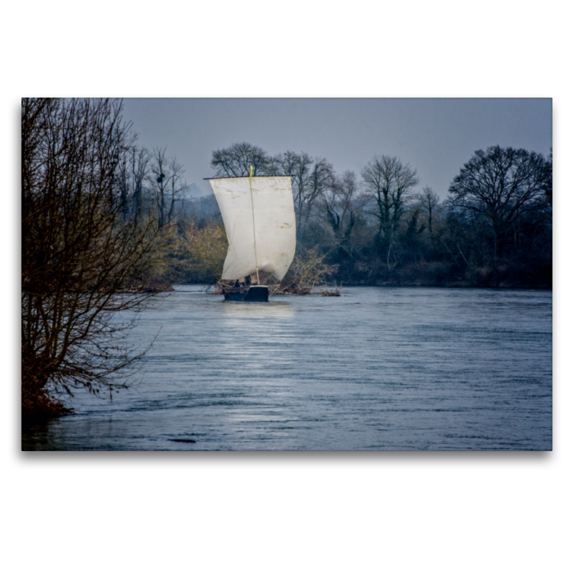 Barge an der Loire