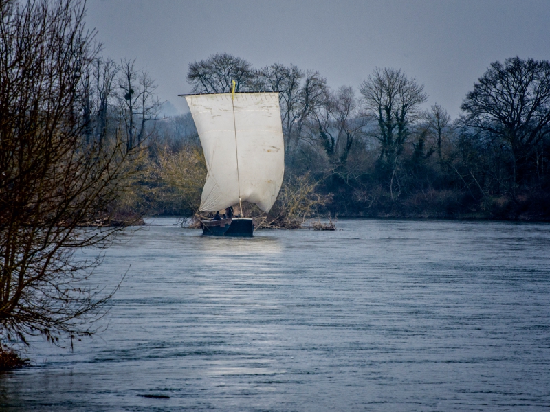 Barge an der Loire