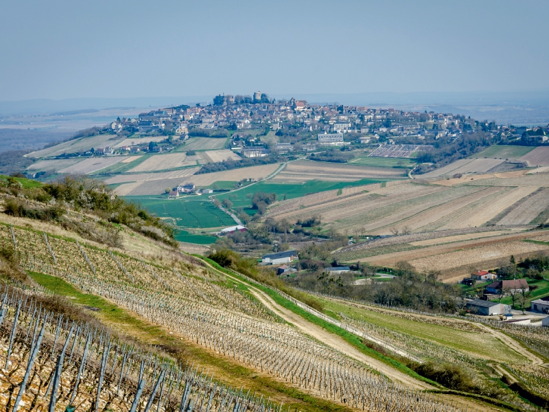 Sancerre