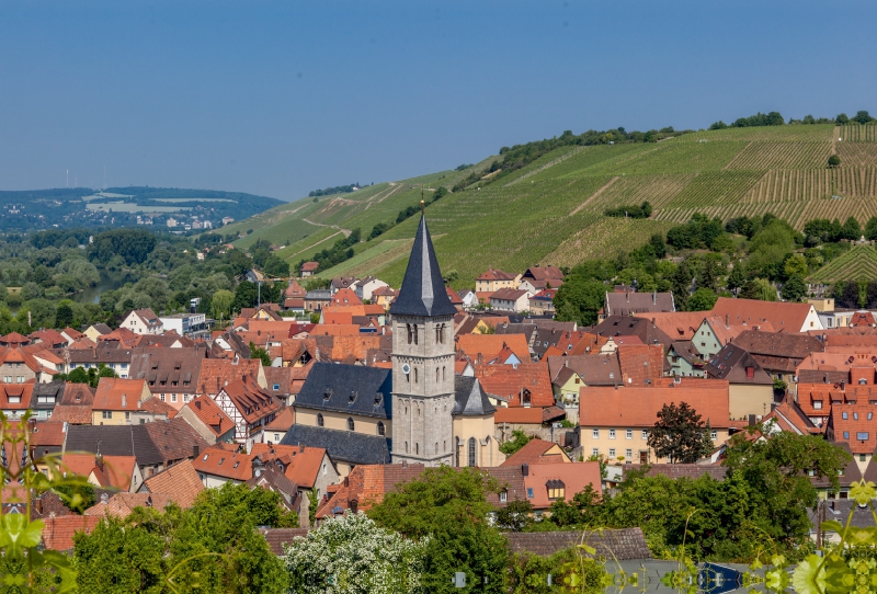 Randersackerer Ewig Leben