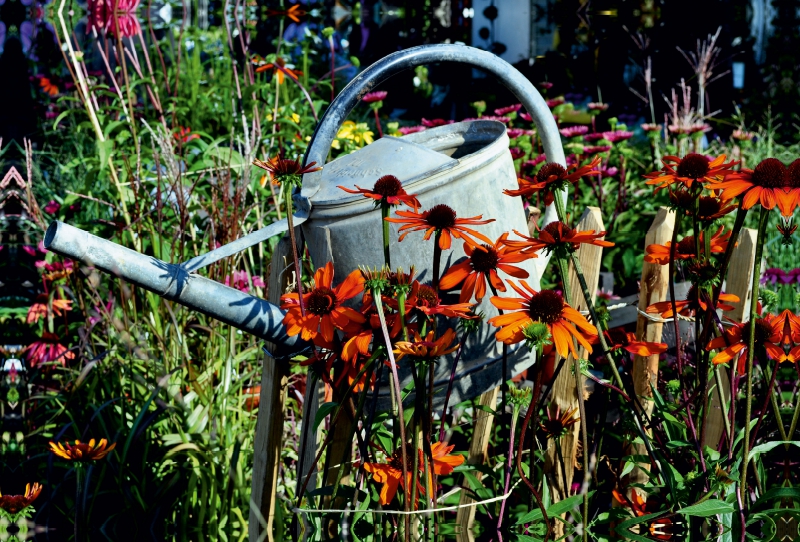 Blick in den Garten