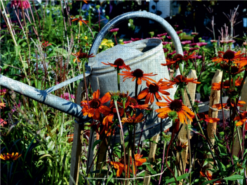 Blick in den Garten