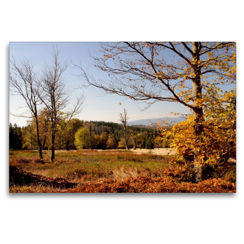 Morgensonne auf dem Weg zum Hirschenstein