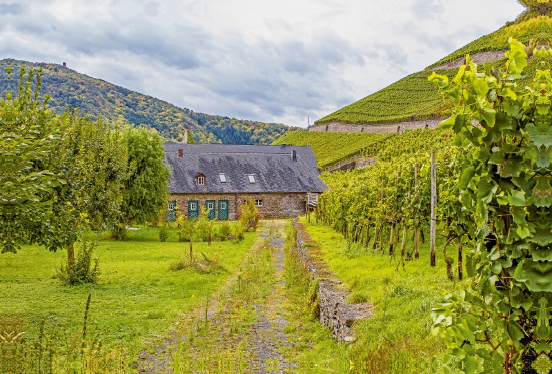 Weingut im Ahrtal