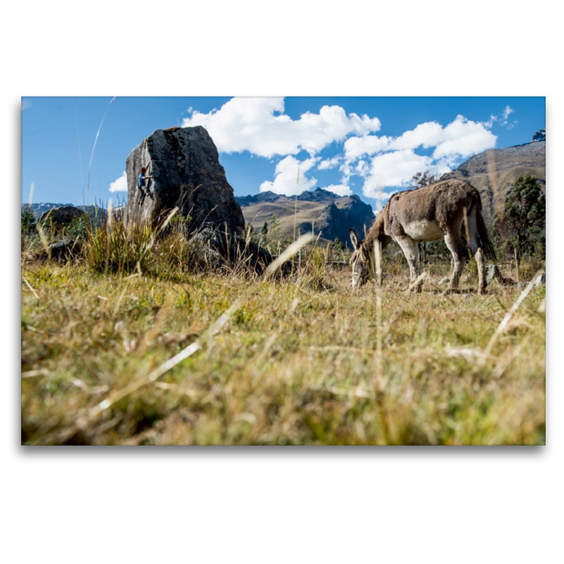 Bouldern in der Pampa