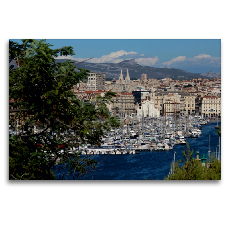 Blick vom Jardin du Pharo in Marseille auf den Vieux Port