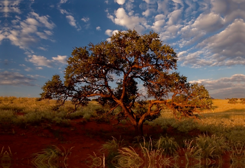 Namib rand nature reserve