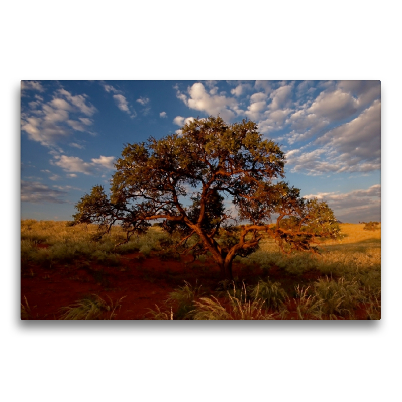 Namib rand nature reserve