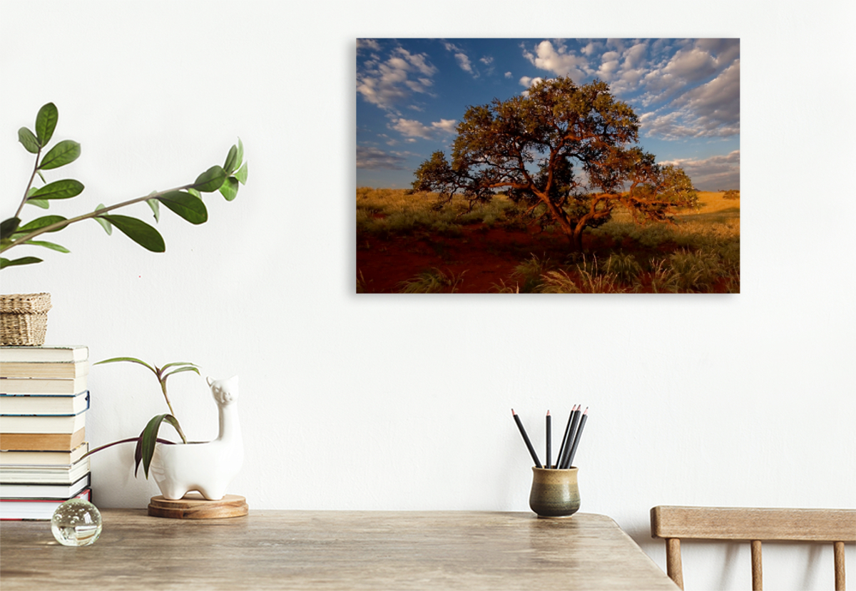 Namib rand nature reserve