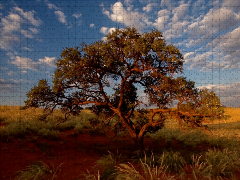 Namib rand nature reserve