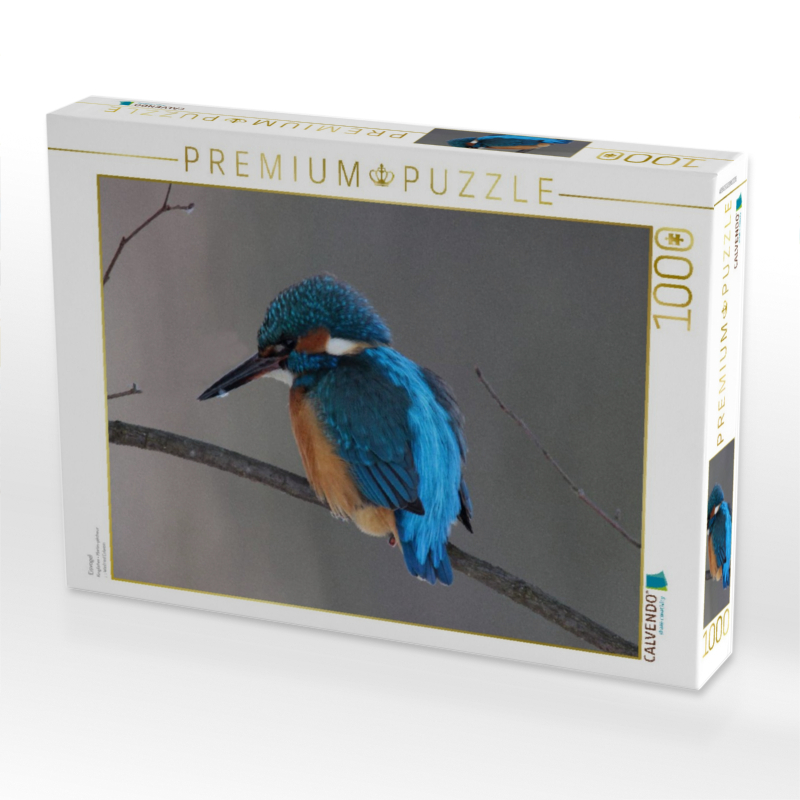 Eisvogel