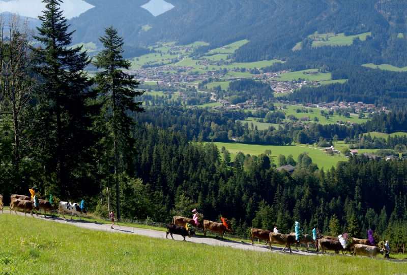 Auf dem Weg durch das 'Sölllandl'