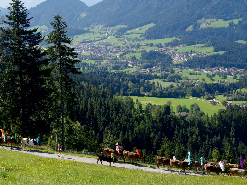 Auf dem Weg durch das 'Sölllandl'