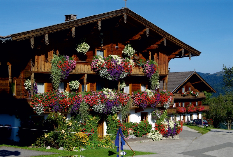 Der heimatliche Bauernhof