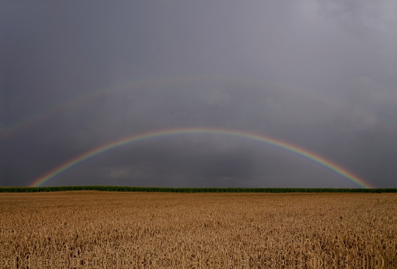 Sommernachmittag