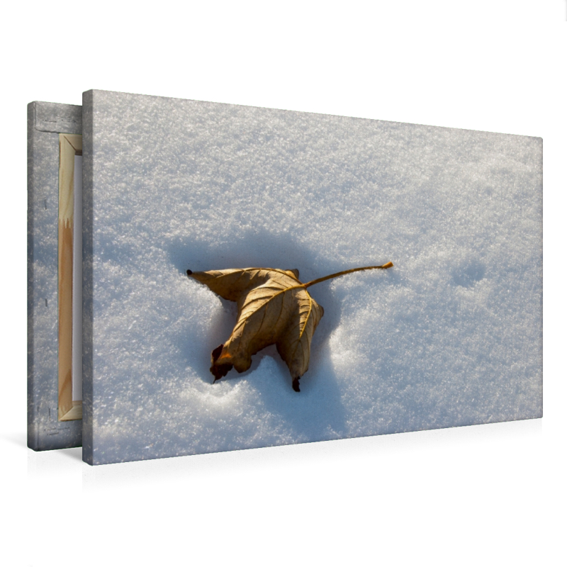 Verdorrtes Blatt im Schnee