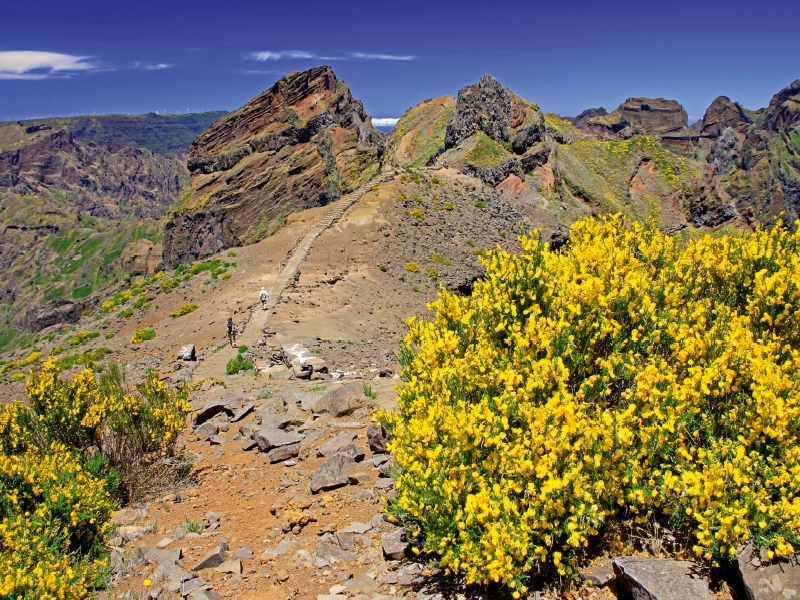 Bergwelt Pico Arreiro