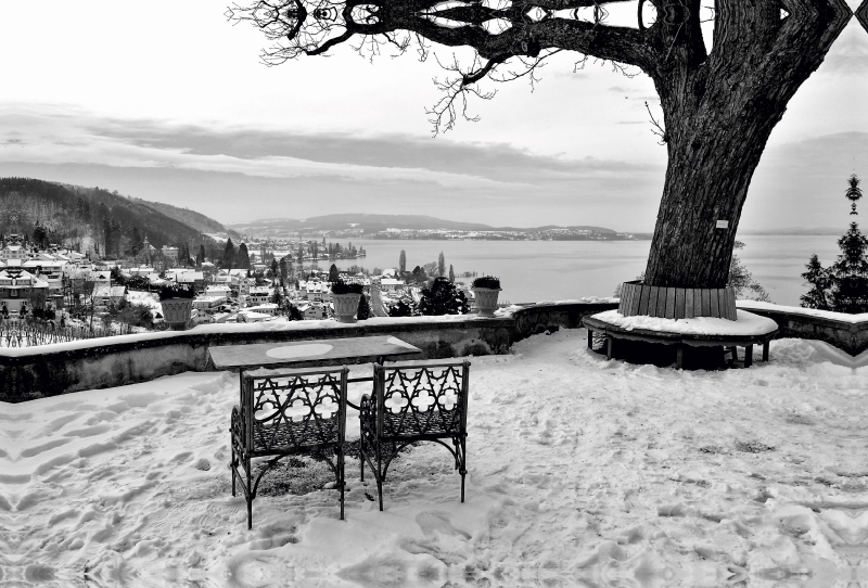 Blick vom Schloß Arenenberg auf den Bodensee