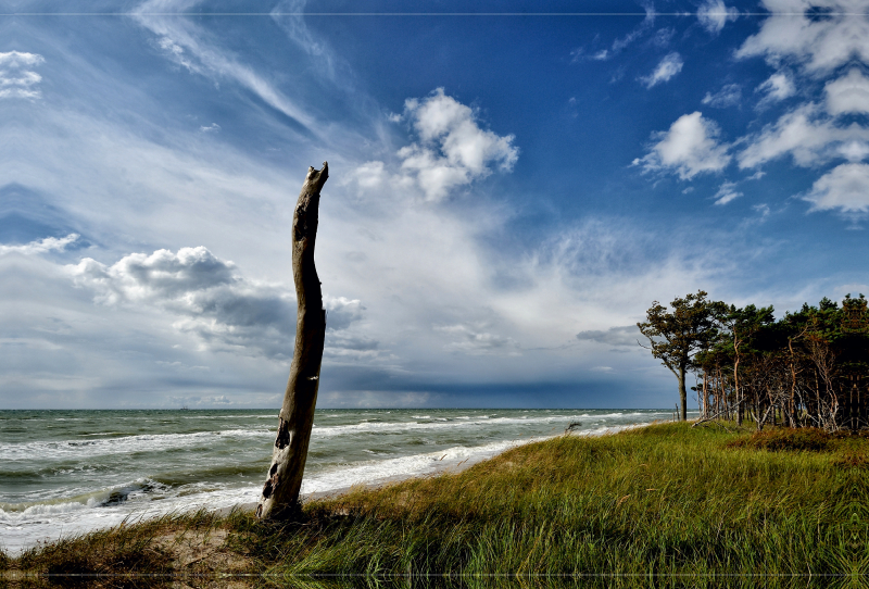 Leben und Tod in der Natur stehen hier dicht beieinander