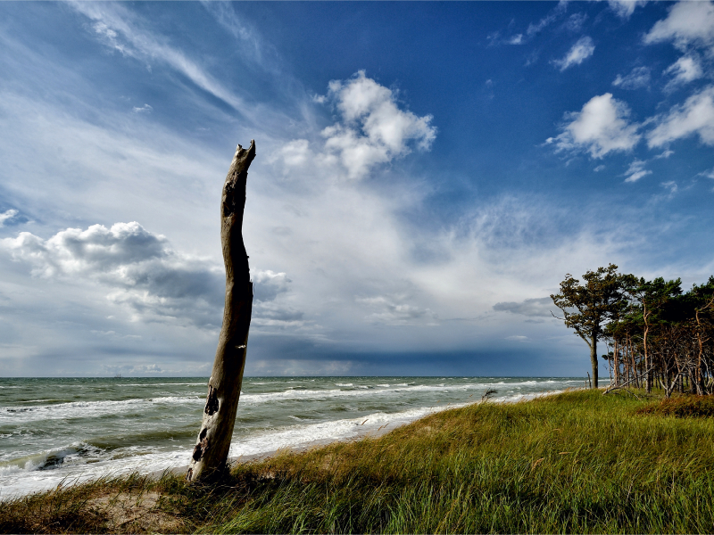 Leben und Tod in der Natur stehen hier dicht beieinander