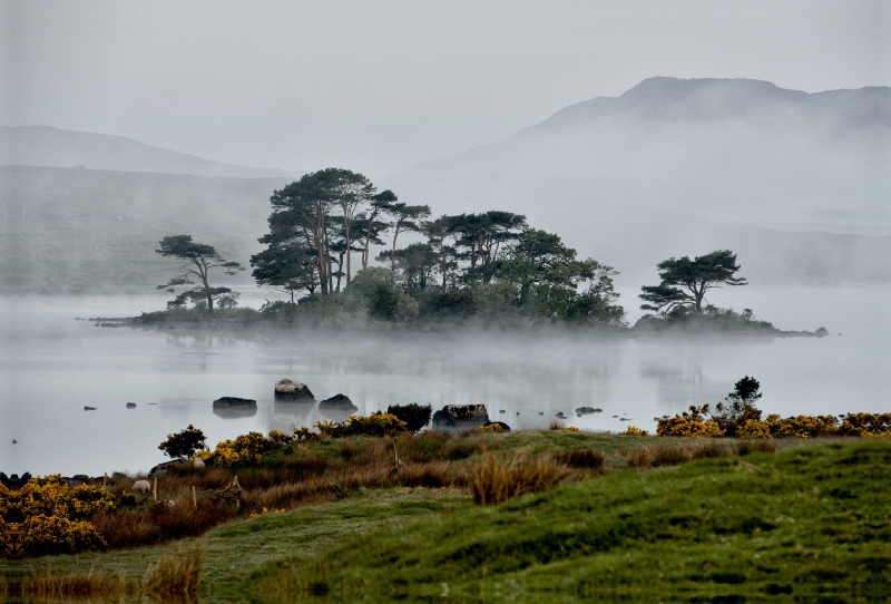 Lough Bofin, County Galway