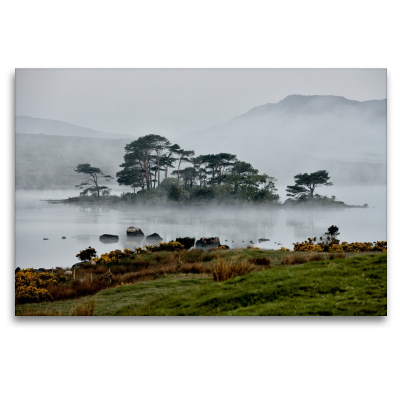 Lough Bofin, County Galway