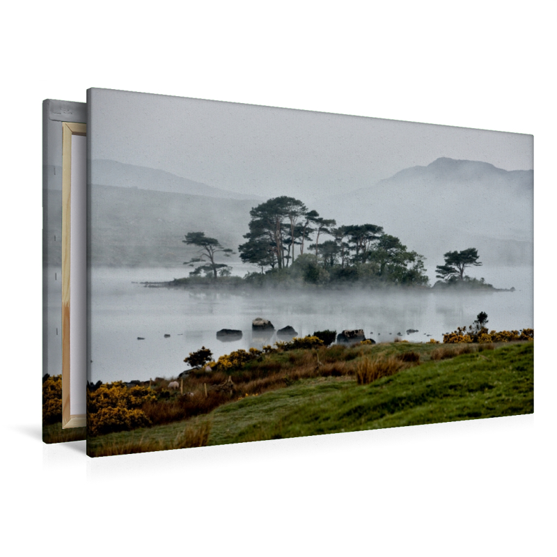 Lough Bofin, County Galway