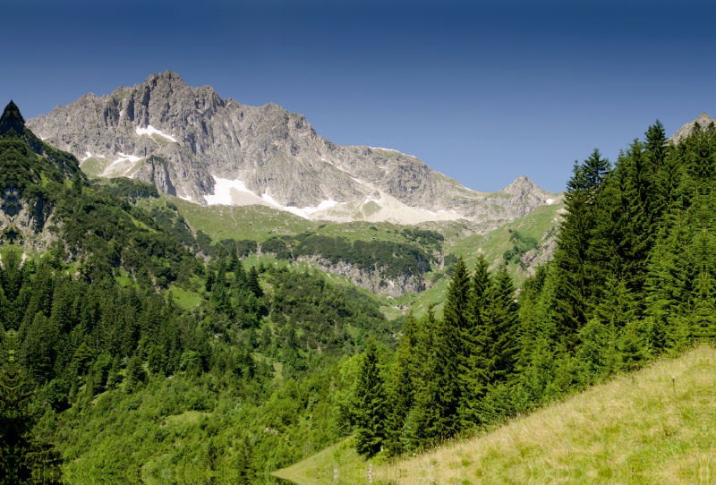 Berg Rauhorn im Tannheimer Tal