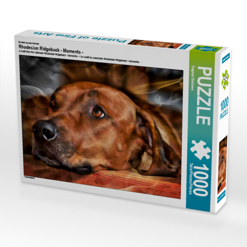 Ein Motiv aus dem Kalender Rhodesian Ridgeback - Moments -