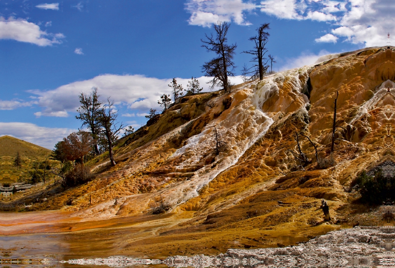 Mammoth Hot Springs Yellowstone