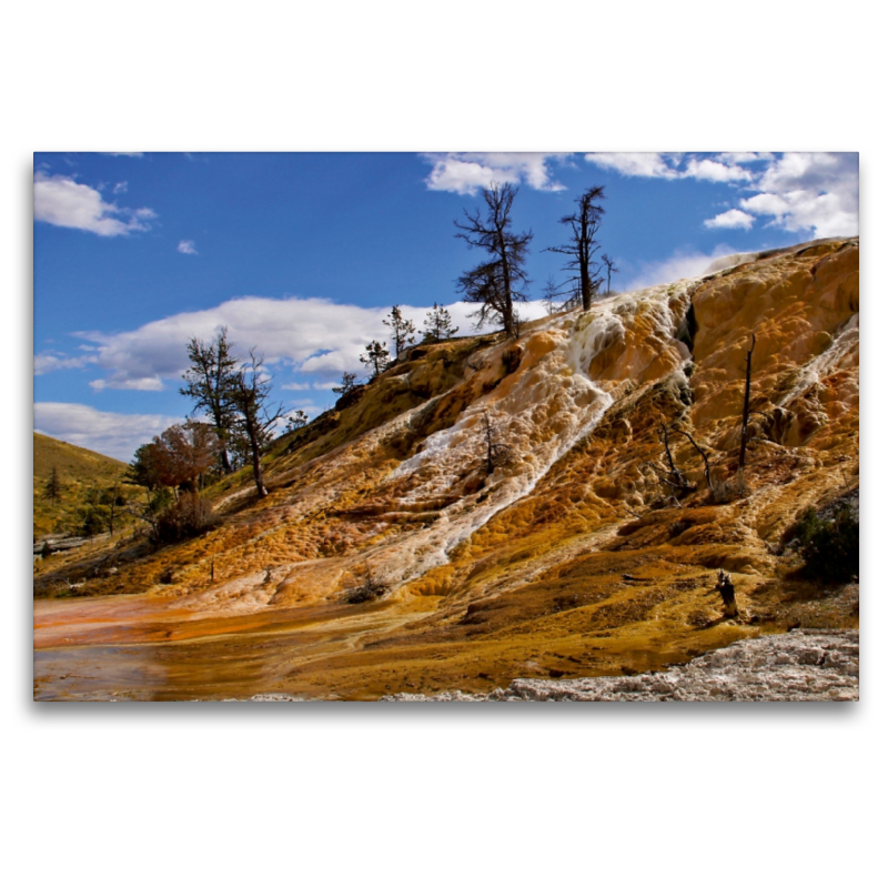 Mammoth Hot Springs Yellowstone