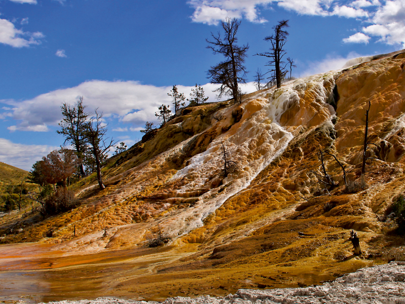 Mammoth Hot Springs Yellowstone