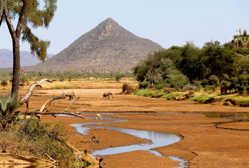 Samburu NR