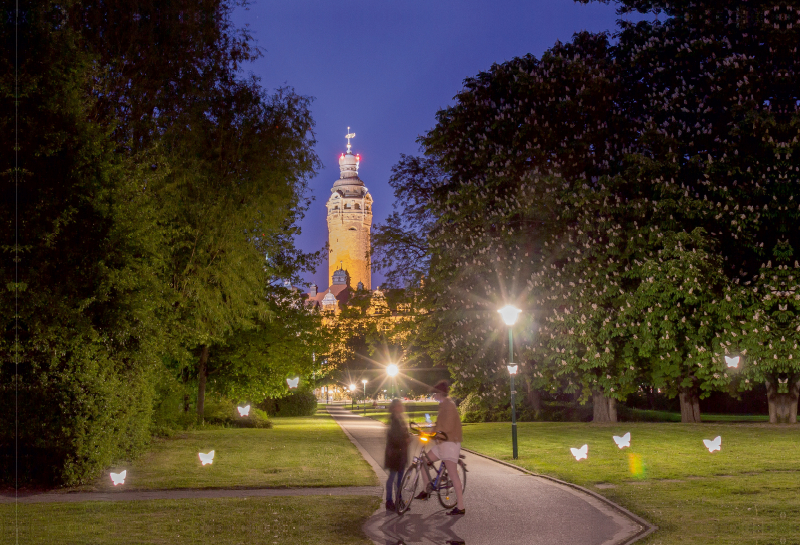 Nachtfalter am Johannapark