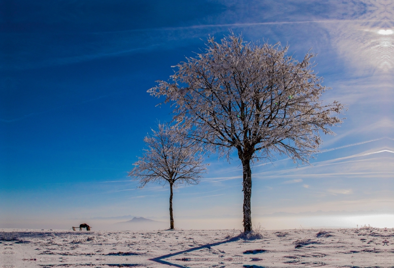 Ein Motiv aus dem Kalender Hegau und westlicher Bodensee