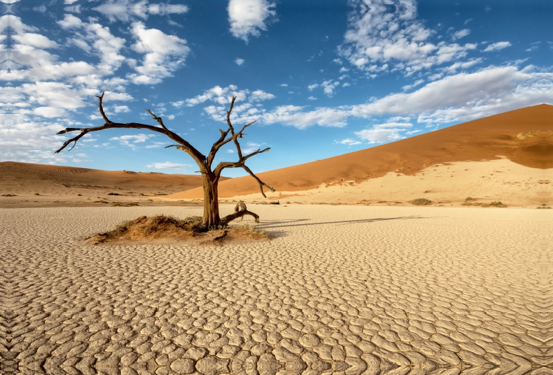 Einsam im Hiddenvlei