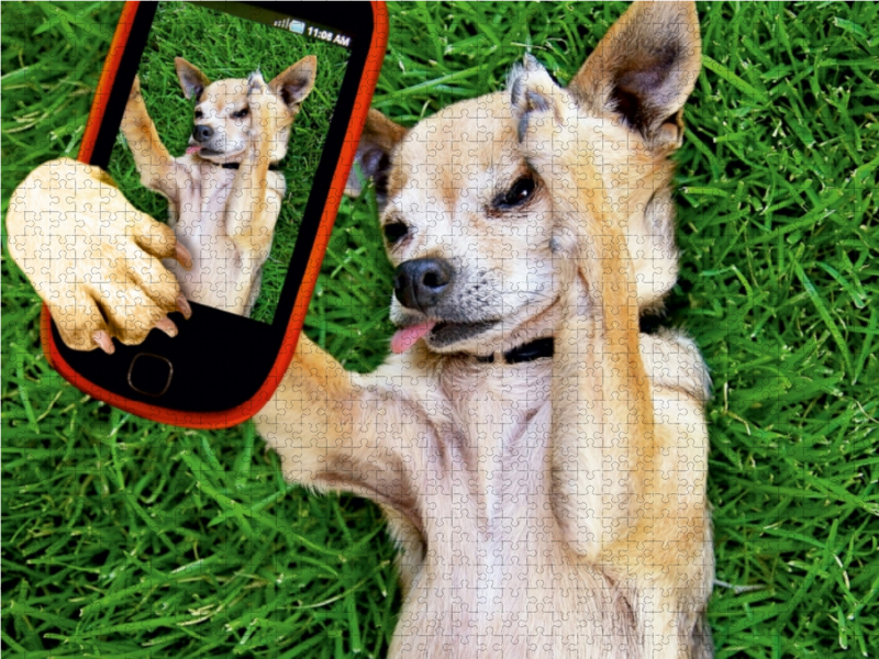 Ein Motiv aus dem Kalender Lustige Tier-Selfies. Tierische Selbstportraits