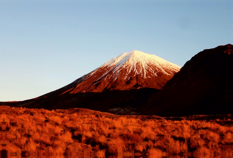 Mount Ngauruhoe im Abendlicht