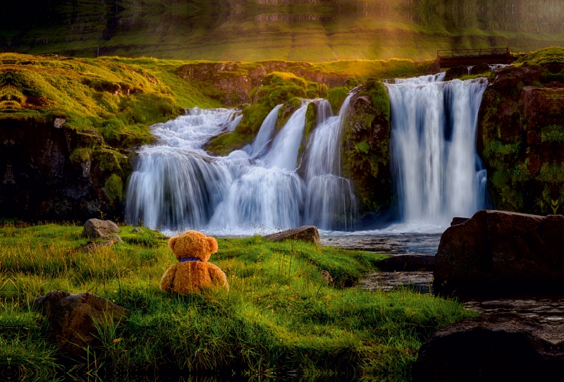 Travelling Teddy in Island