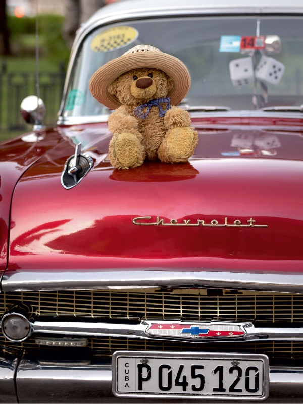 Travelling Teddy mit Oldtimer in Havanna