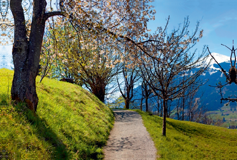 Gasteiner Höhenweg in Bad Hofgastein