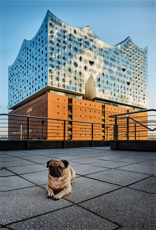 Elbphilharmonie