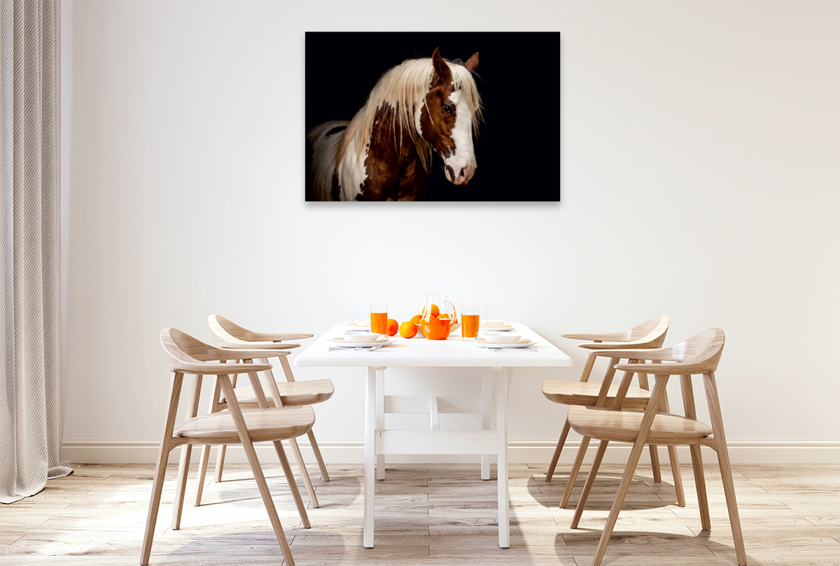 Paint Horse Hengst