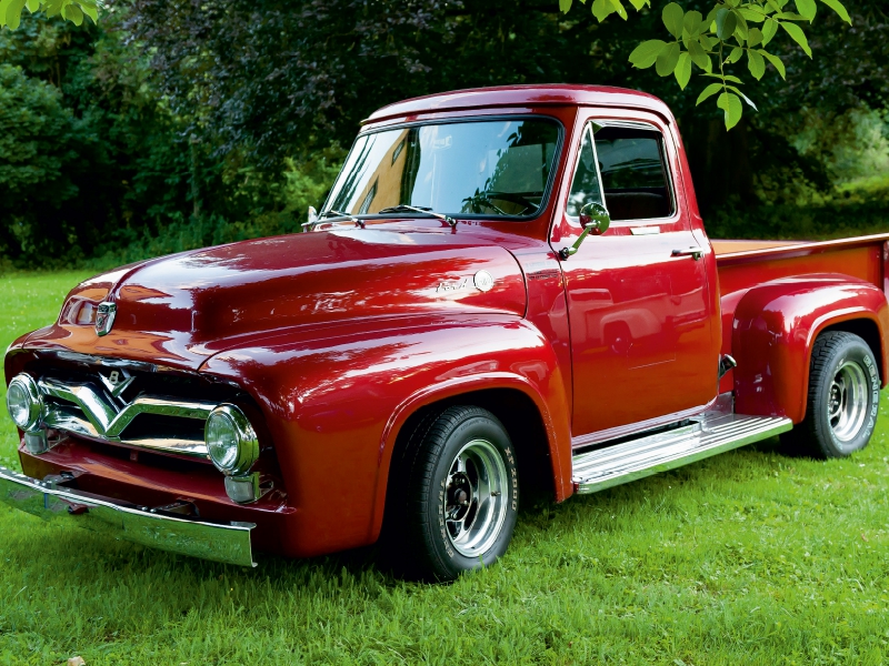 FORD F 100