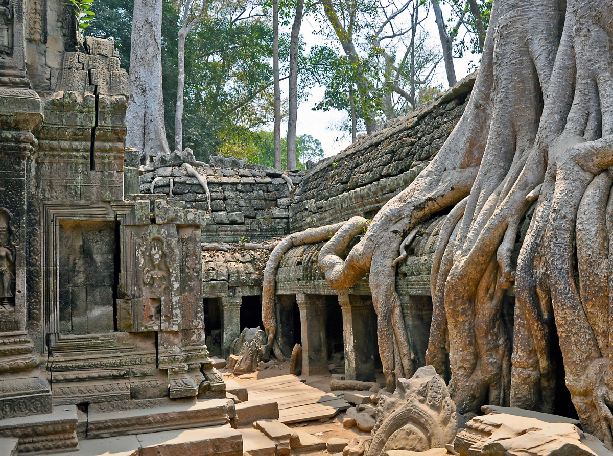 Ta Prohm-Tempel